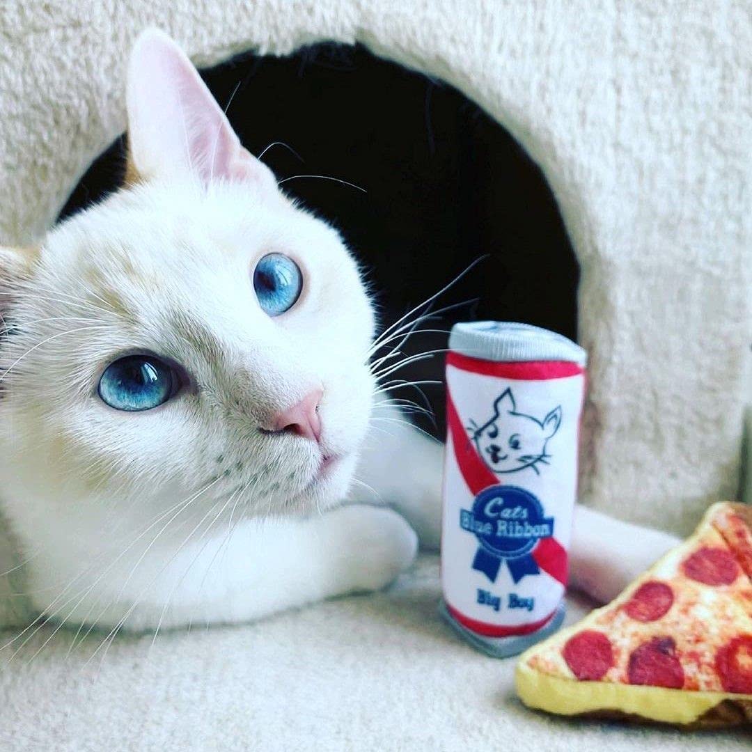 Huxley & Kent Plush Cat Toy - Pizza - Snack Attack Strong Catnip Filled - Plush Interactive Kitten And Cat Toy With Catnip And C